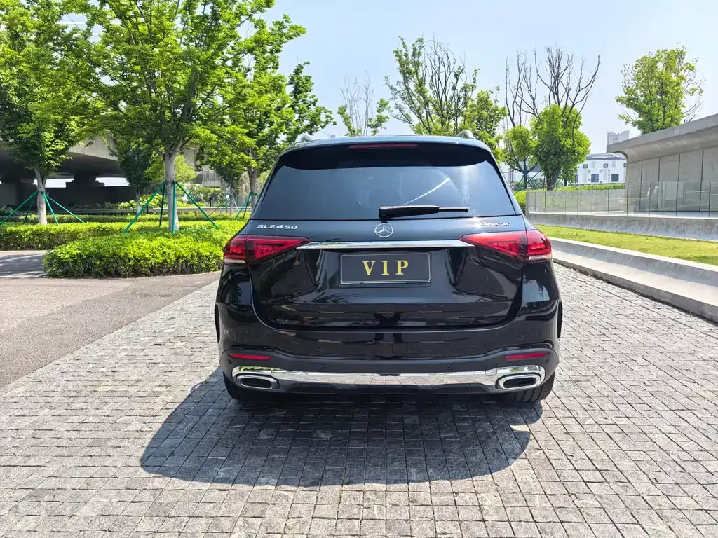 Mercedes-Benz 奔驰GLE(进口) — фото 8
