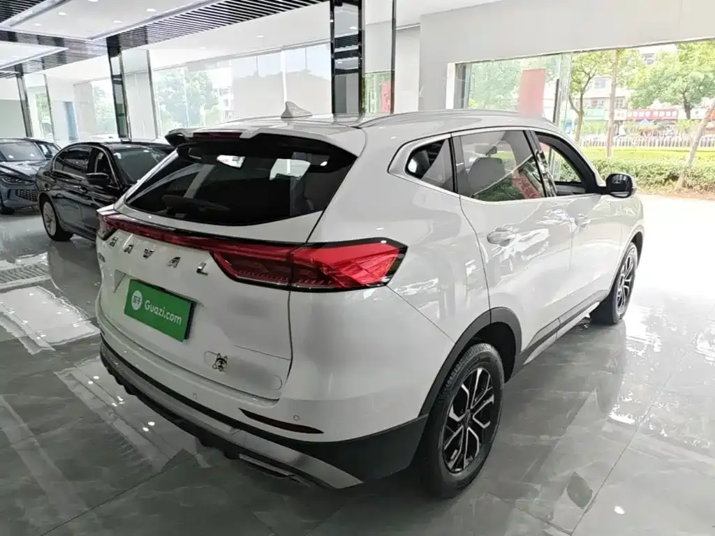 Haval H6 2024 из CN, фото 5