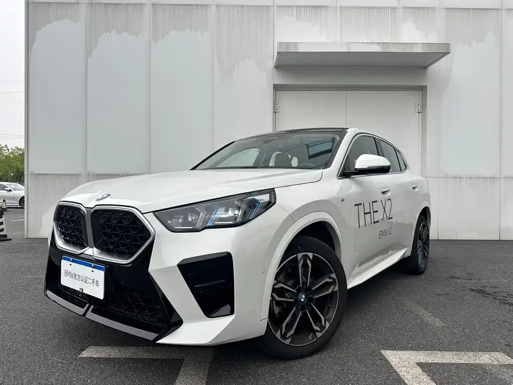 BMW X2 — фото 1