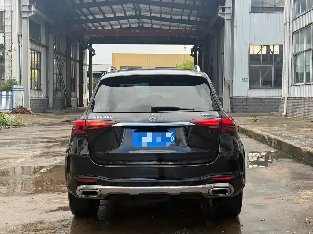 Mercedes-Benz 奔驰GLE(进口) — фото 3
