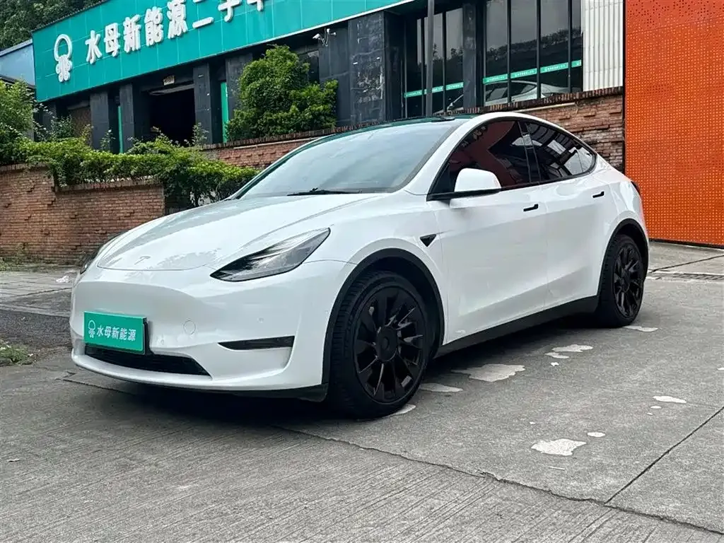 Tesla Model Y — фото 1