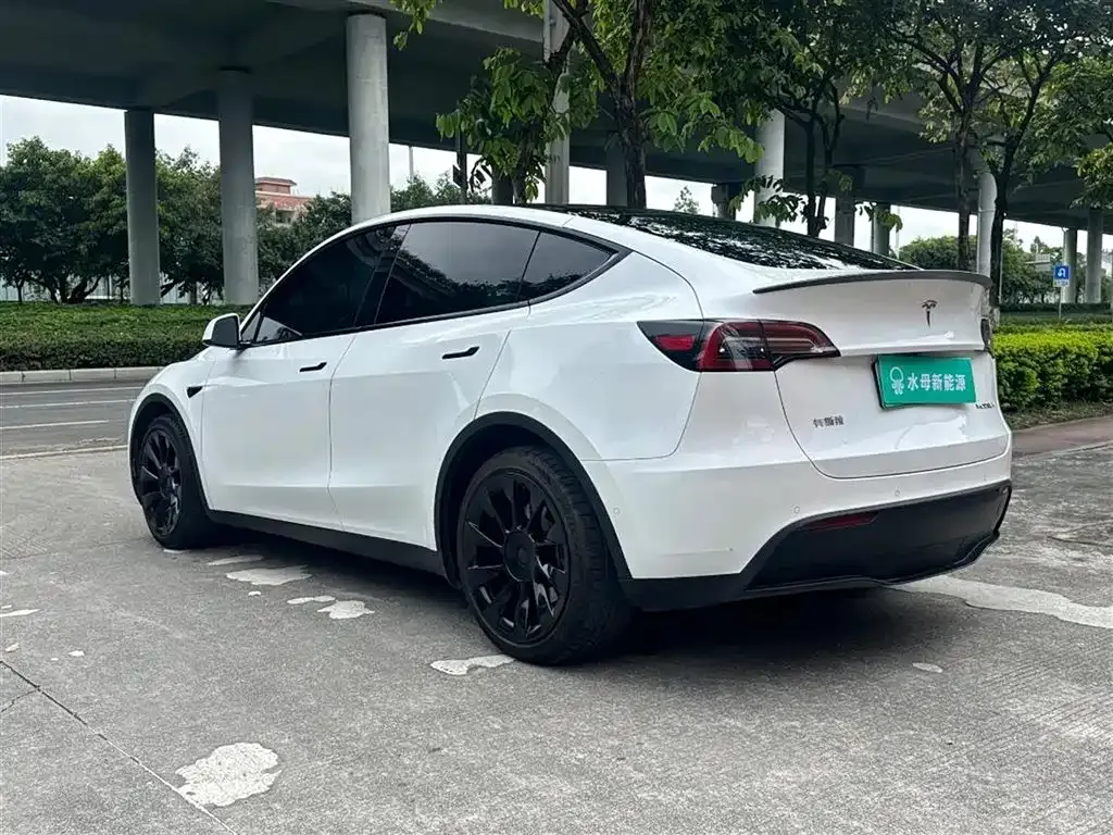 Tesla Model Y — фото 10
