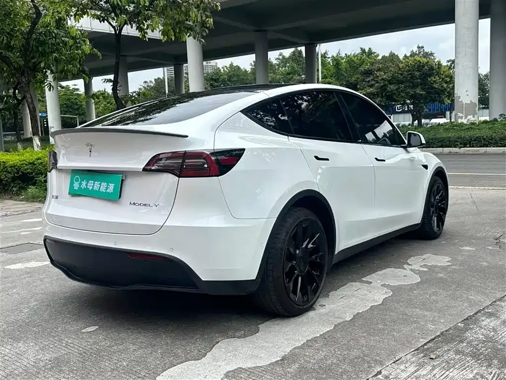 Tesla Model Y — фото 5