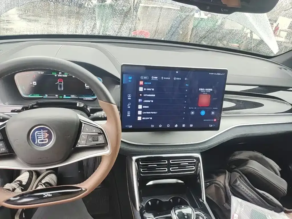 BYD Tang New Energy 2023 из CN, фото 7