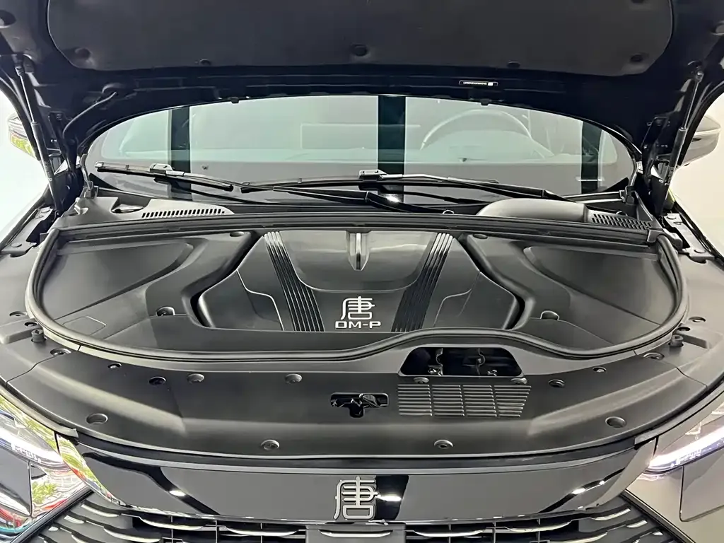 BYD Tang New Energy — фото 10