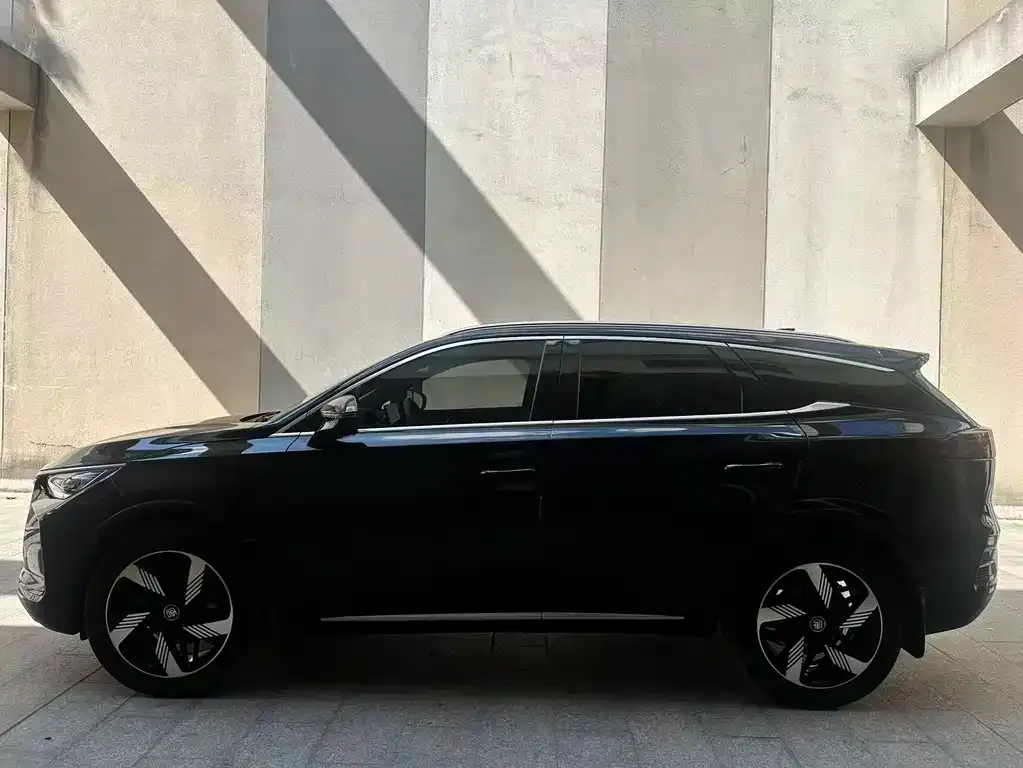 BYD Tang New Energy 2024 из CN, фото 4