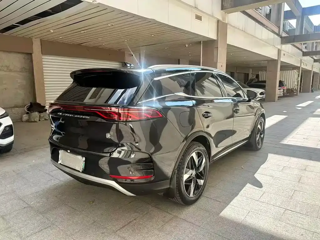 BYD Tang New Energy 2024 из CN, фото 6
