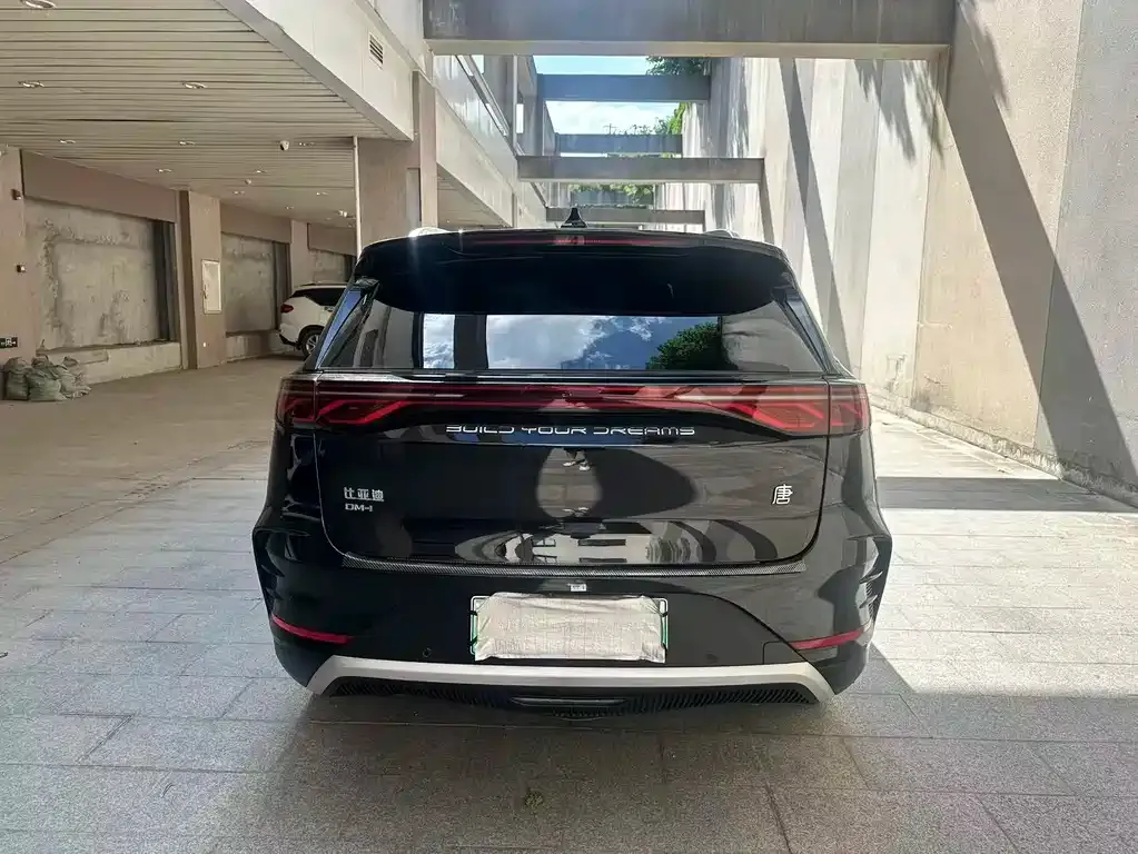 BYD Tang New Energy 2024 из CN, фото 9