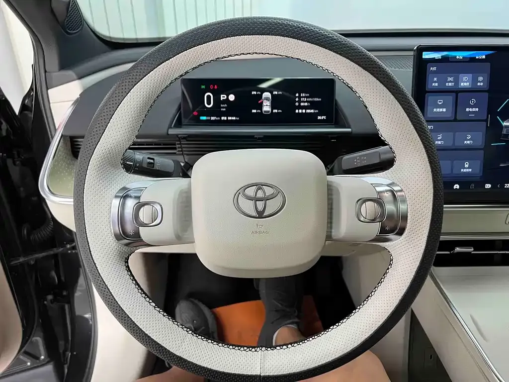 Toyota Platinum 3X — фото 10