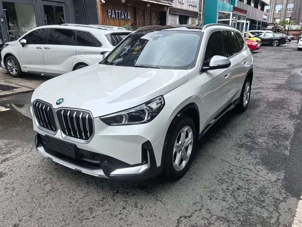 BMW X1 — фото 1