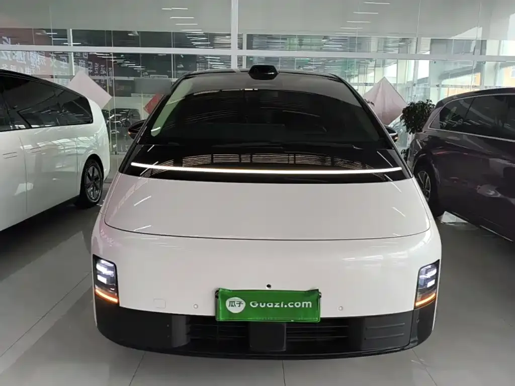 Li Auto MEGA 2024 из CN, фото 6