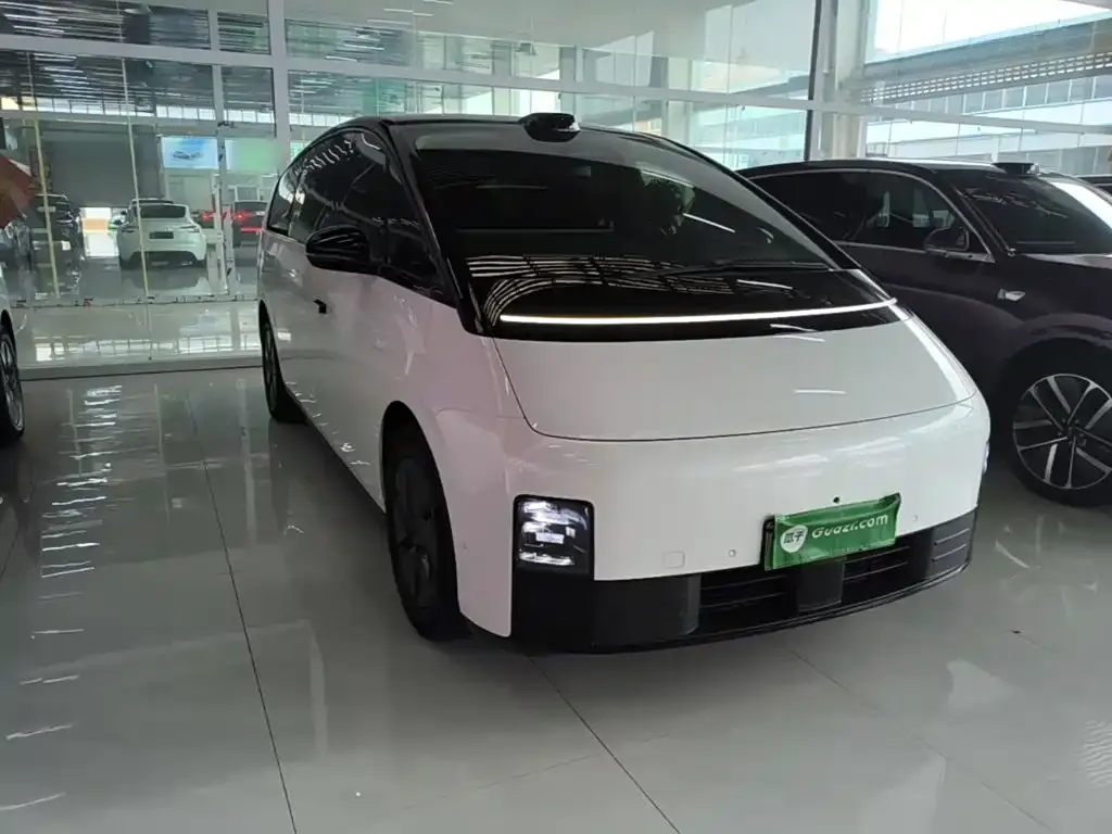 Li Auto MEGA 2024 из CN, фото 5