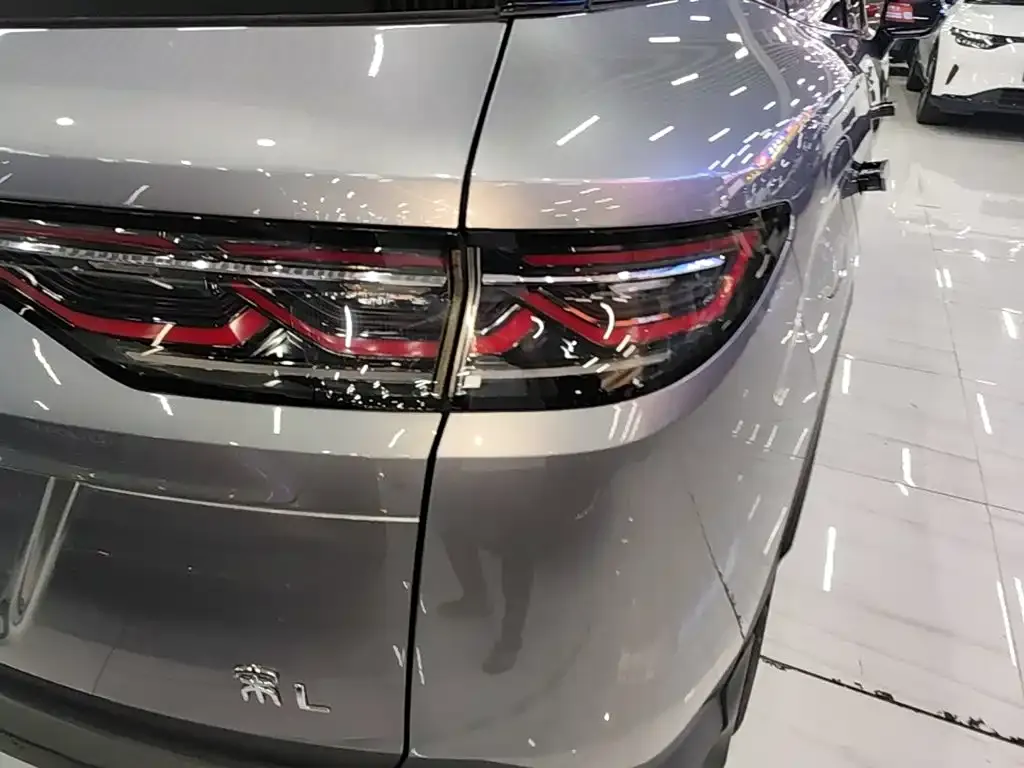 BYD L DM-i — фото 6