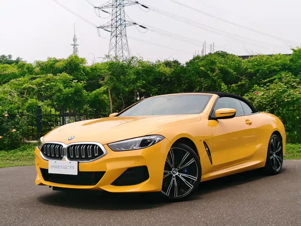 BMW 8 Series — фото 9