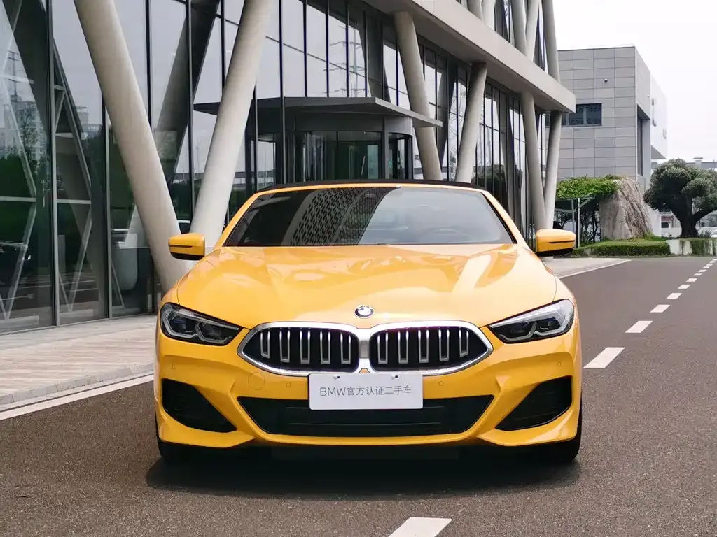 BMW 8 Series — фото 4