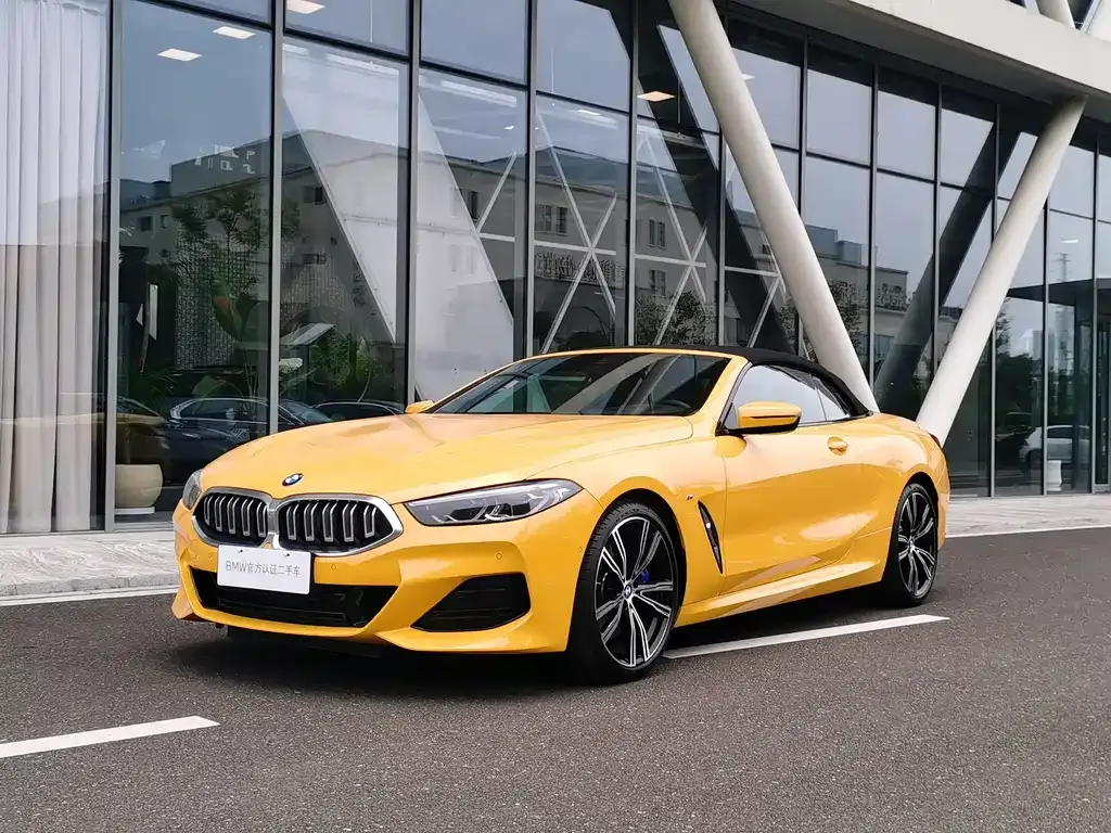 BMW 8 Series — фото 7