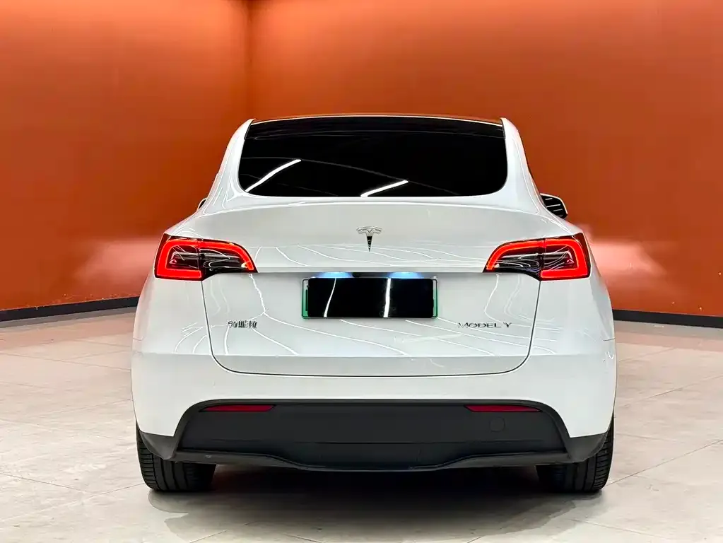 Tesla Model Y — фото 8