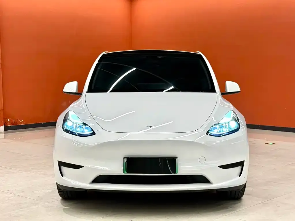 Tesla Model Y — фото 7