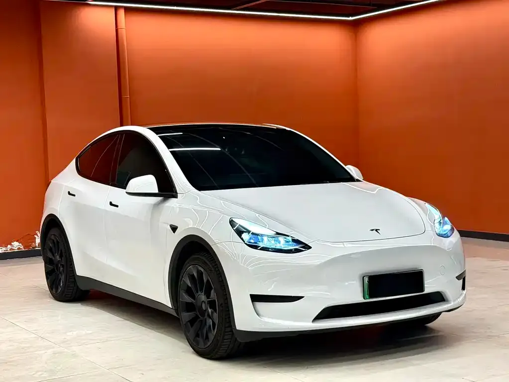 Tesla Model Y — фото 2