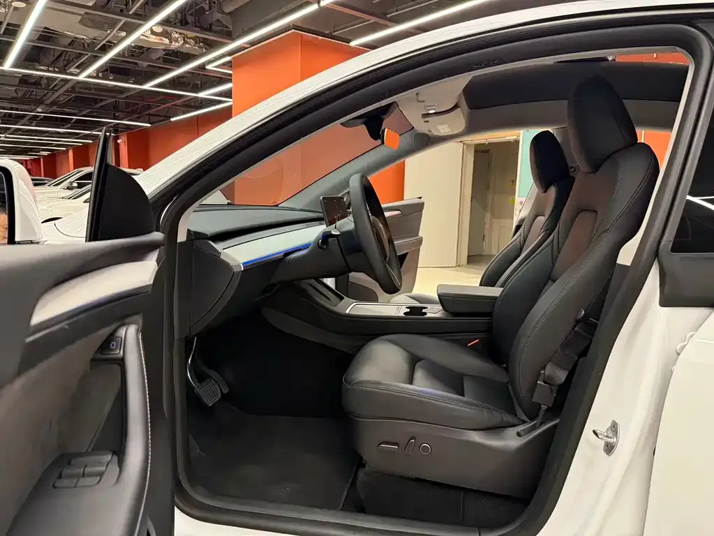 Tesla Model Y — фото 9