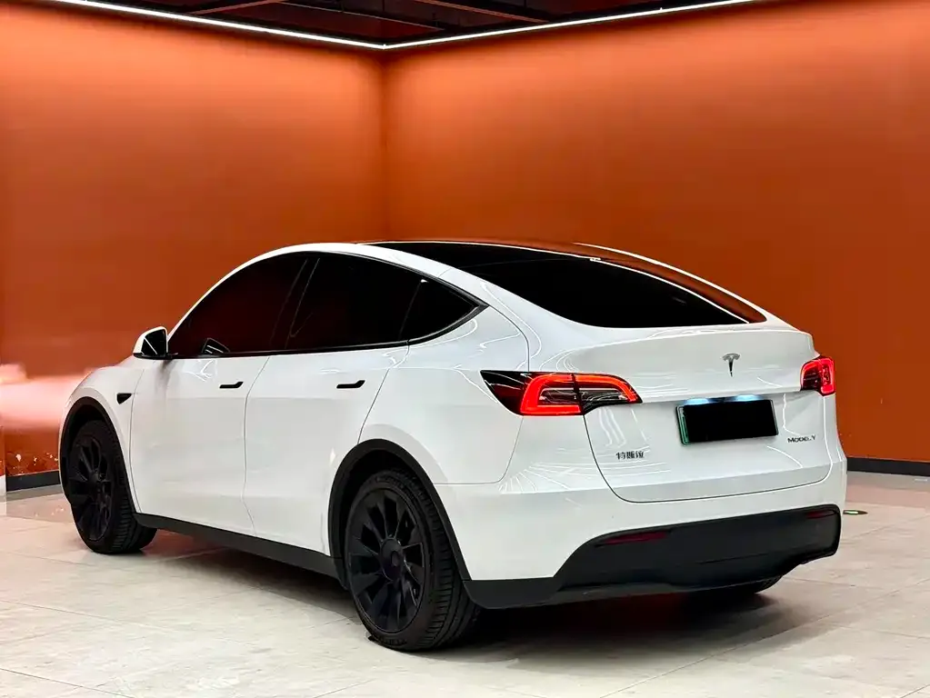 Tesla Model Y — фото 3