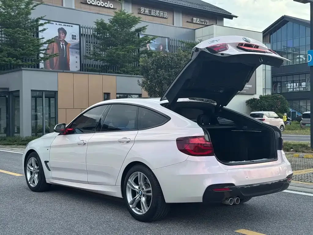 BMW 3 Series GT — фото 10