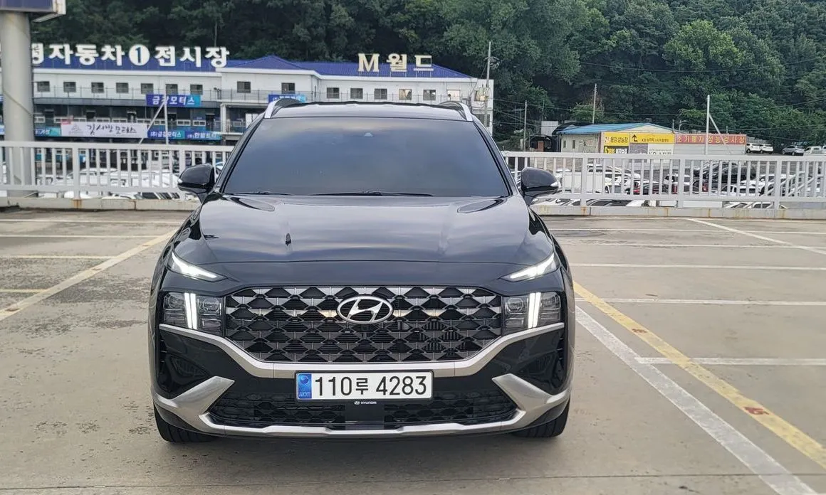 Hyundai Santafe — фото 9