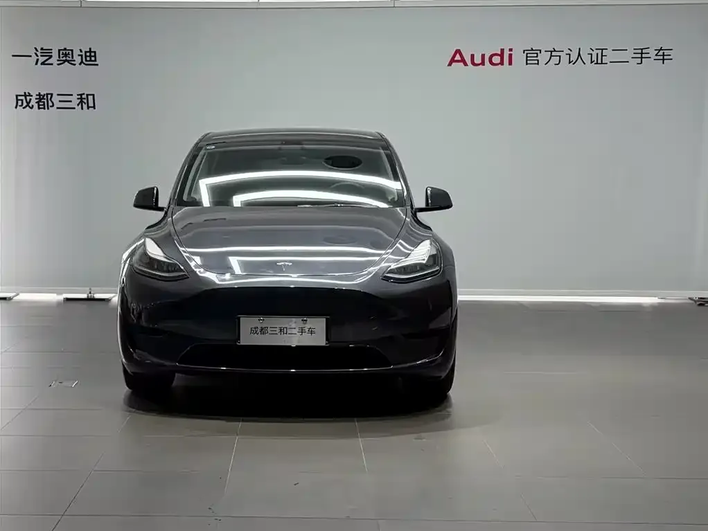 Tesla Model Y — фото 8