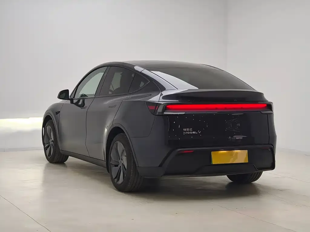 Tesla Model Y — фото 10