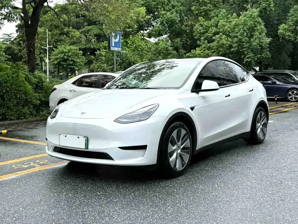 Tesla Model Y — фото 1