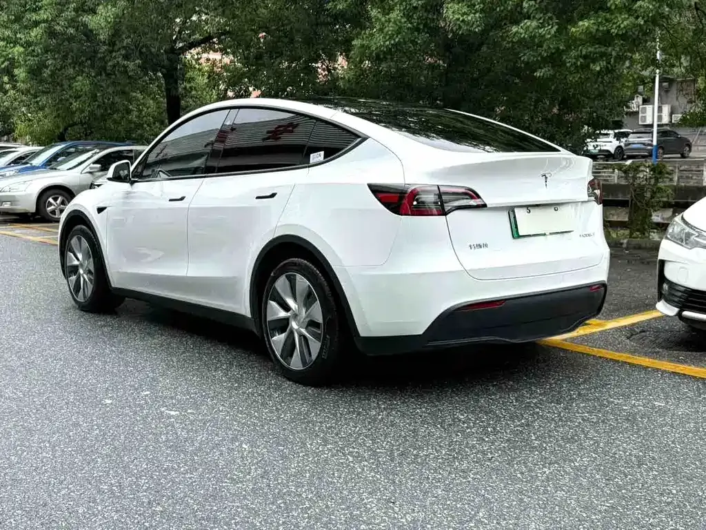 Tesla Model Y — фото 9