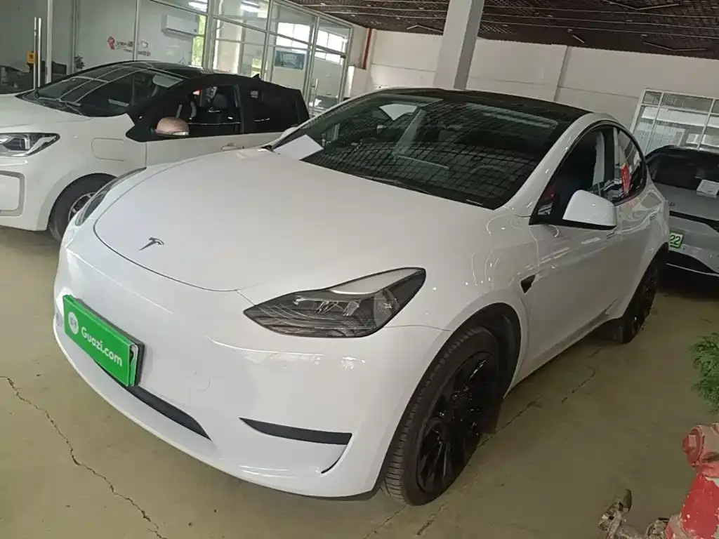 Tesla Model Y — фото 2