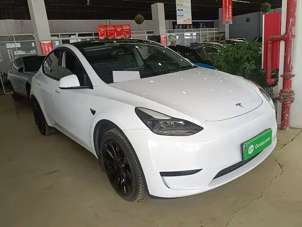 Tesla Model Y — фото 6