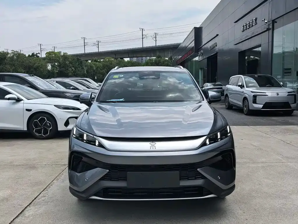 BYD Pro New Energy — фото 2