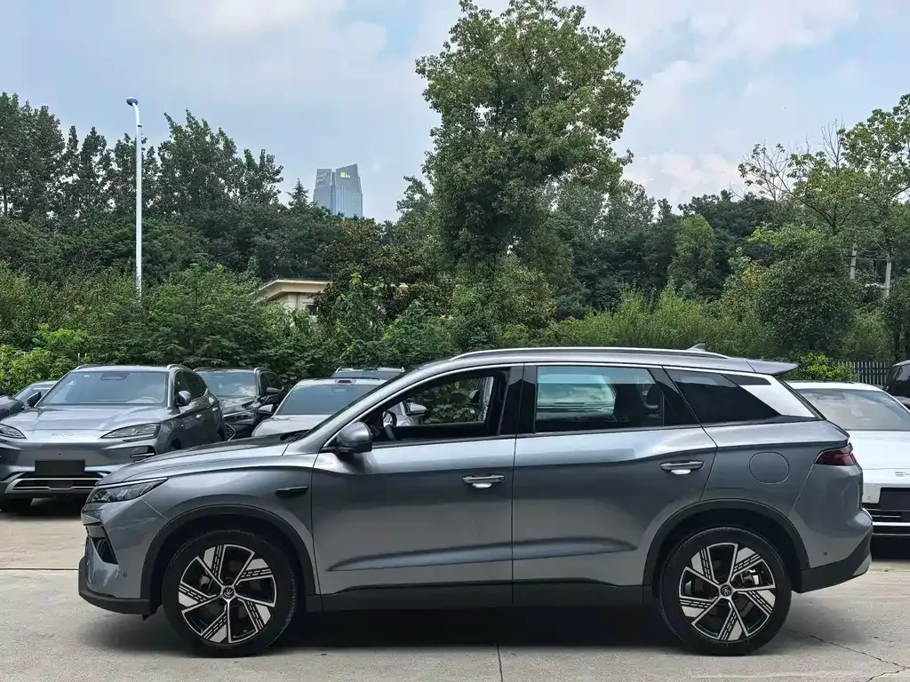 BYD Pro New Energy — фото 6