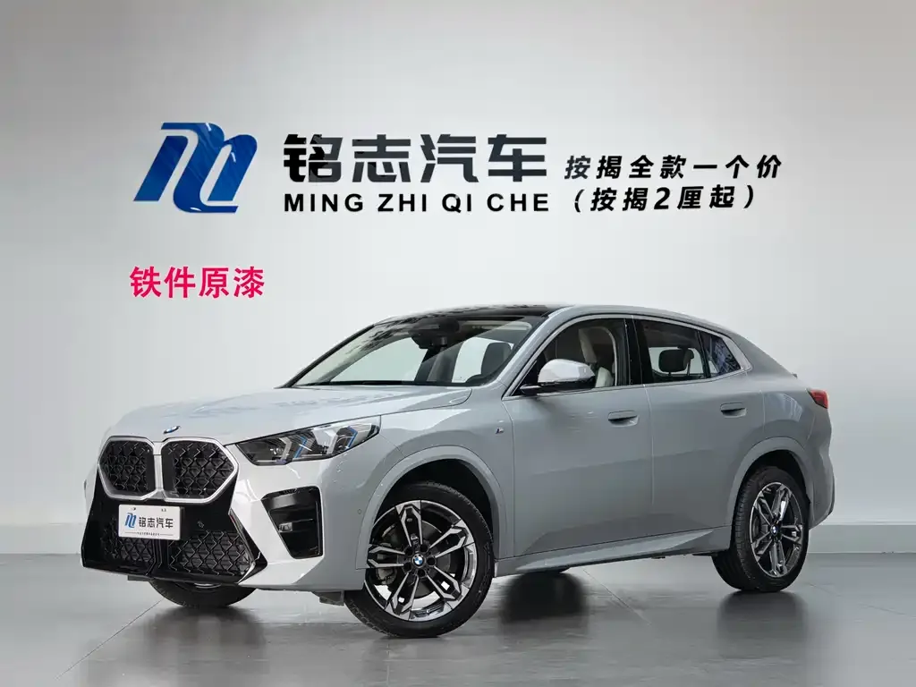 BMW X2 (Import) — фото 1