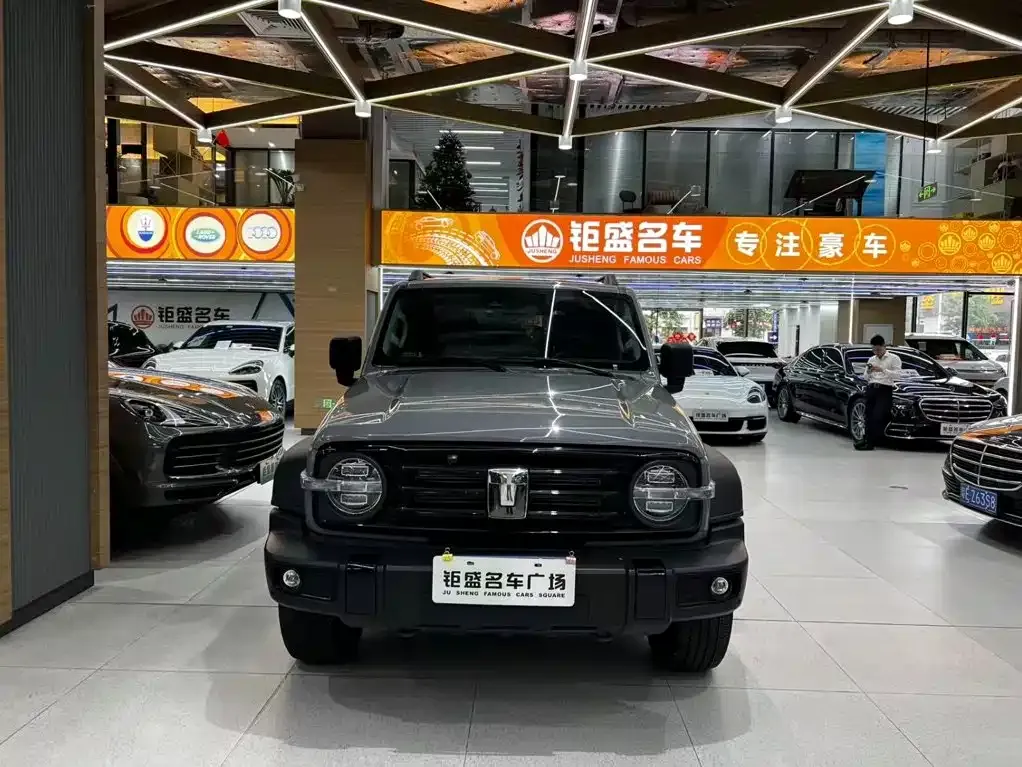 Tank 300 — фото 6