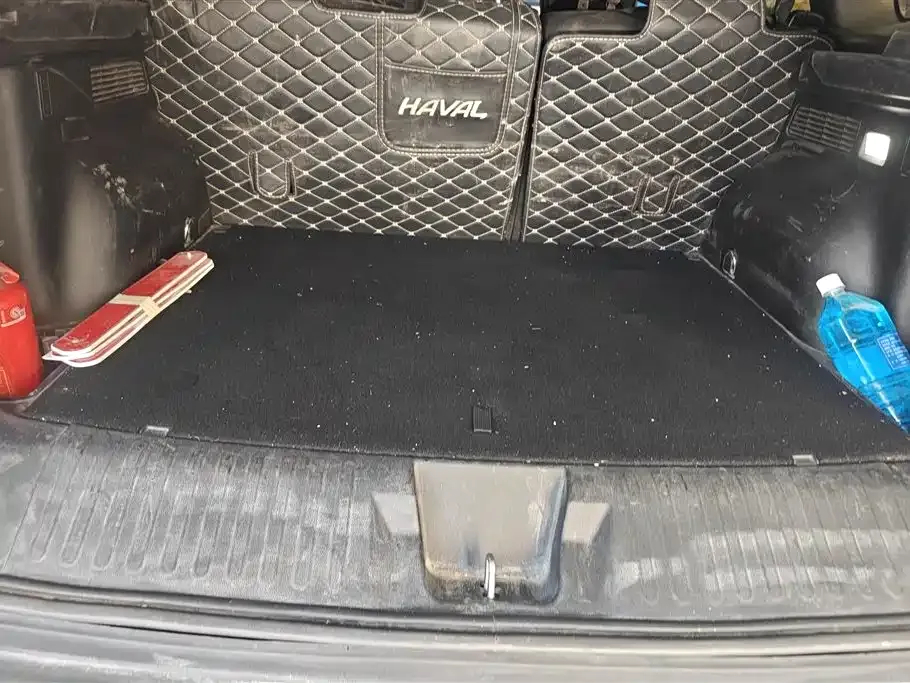 Haval Big Dog — фото 10