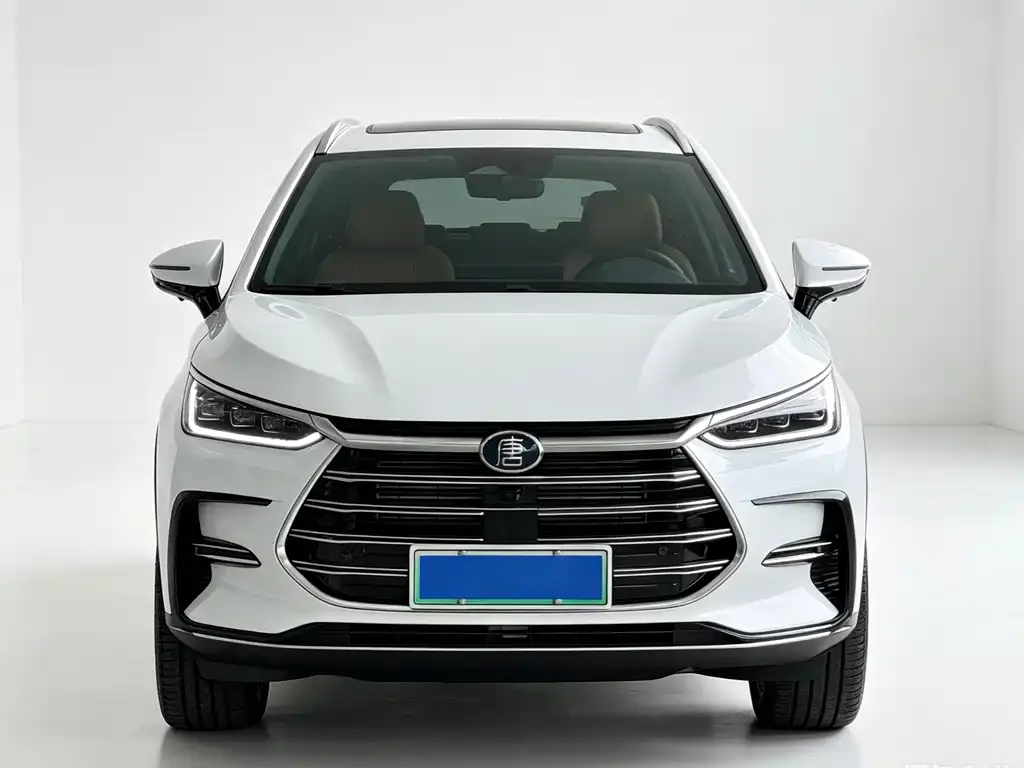 BYD Tang New Energy 2024 из CN, фото 6