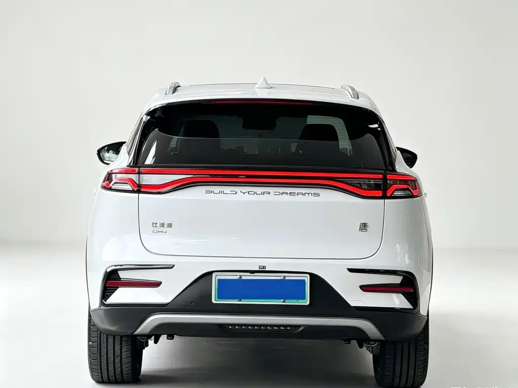 BYD Tang New Energy 2024 из CN, фото 2