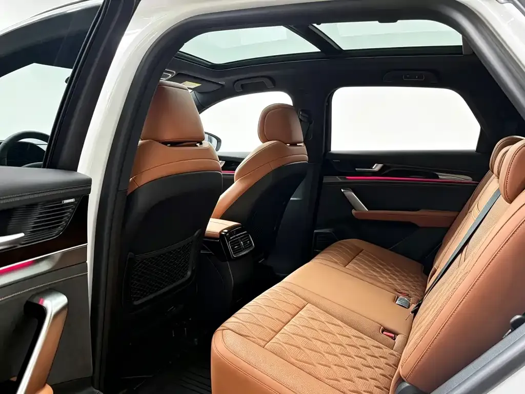 BYD Tang New Energy 2024 из CN, фото 10