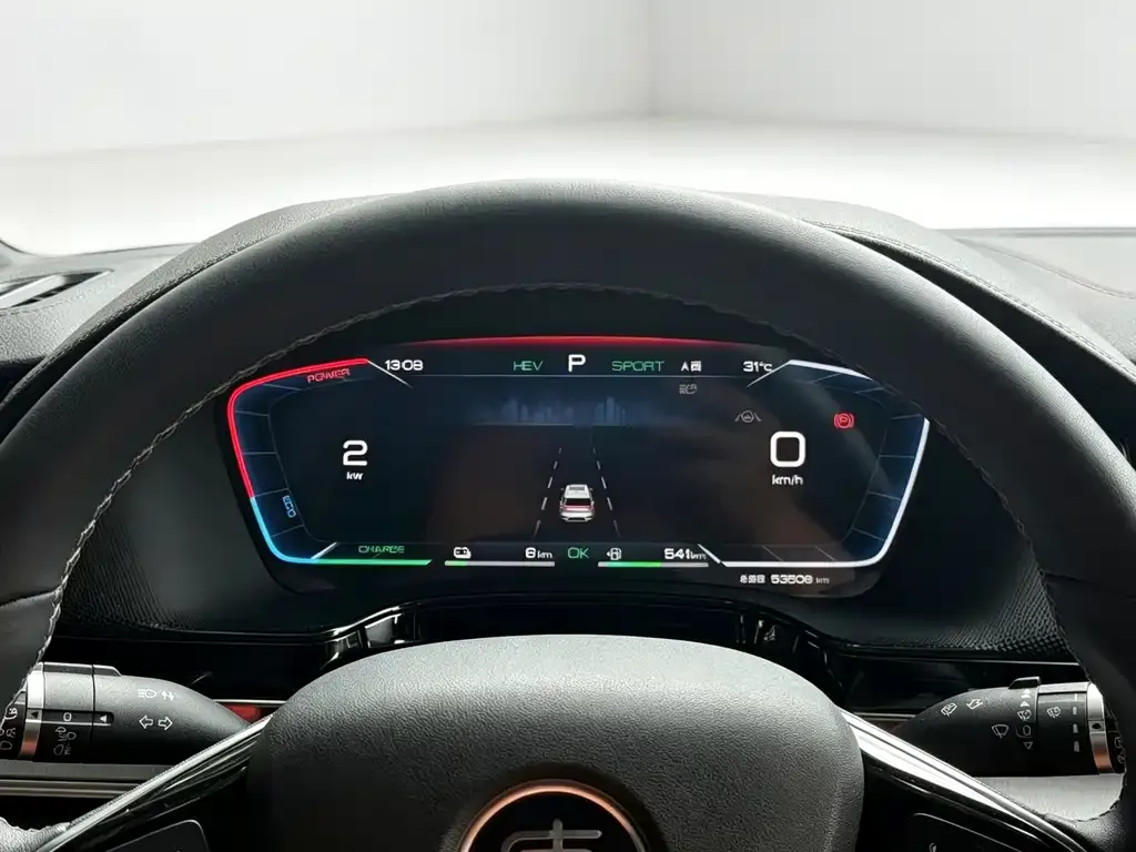 BYD Tang New Energy 2024 из CN, фото 9