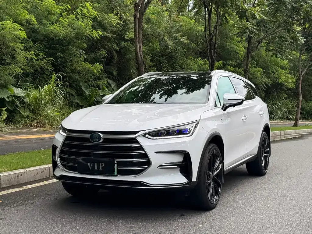 BYD Tang New Energy — фото 1