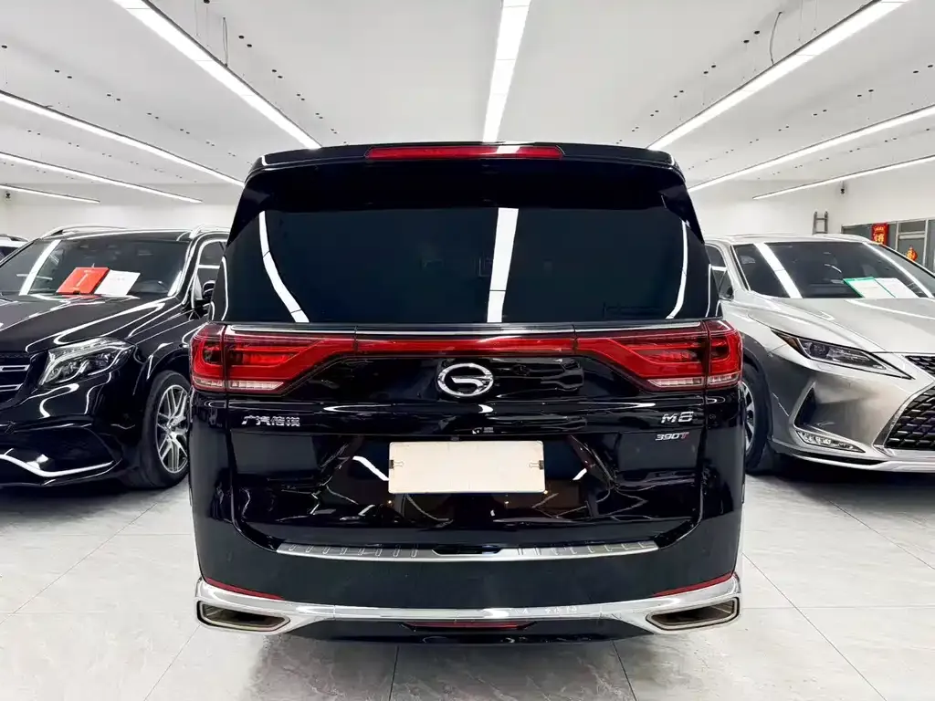 GAC Motor Trumpchi M8 — фото 2