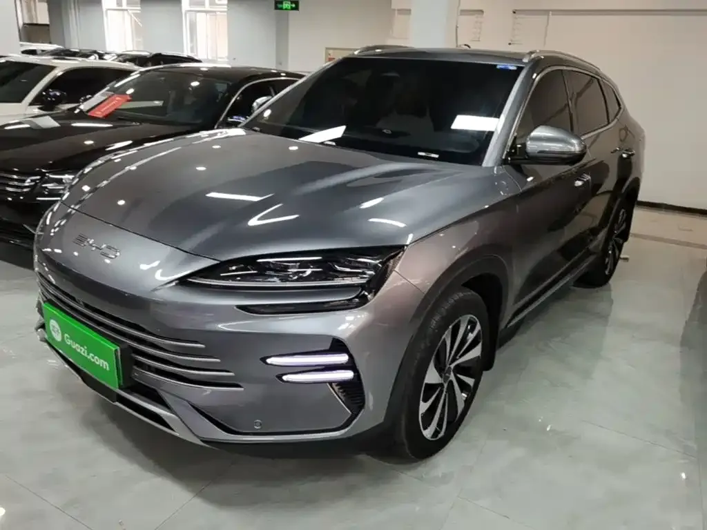 BYD PLUS New Energy — фото 10