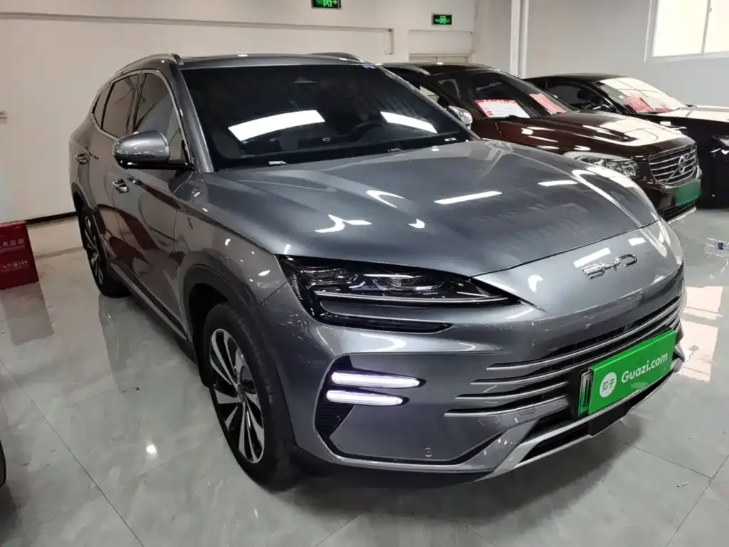 BYD PLUS New Energy — фото 8