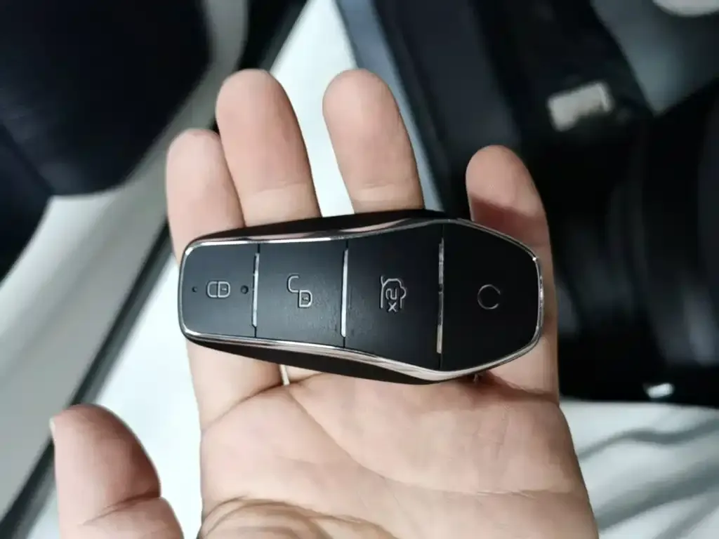 BYD PLUS New Energy — фото 4