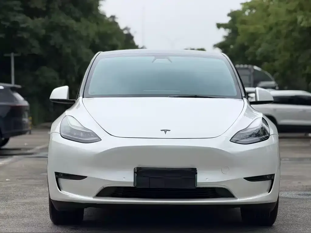 Tesla Model Y — фото 5