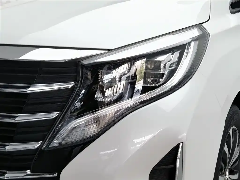 GAC Motor Trumpchi M8 — фото 10