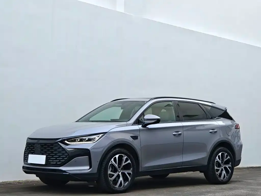 BYD Tang New Energy — фото 1